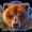 Бурый медведь Wild